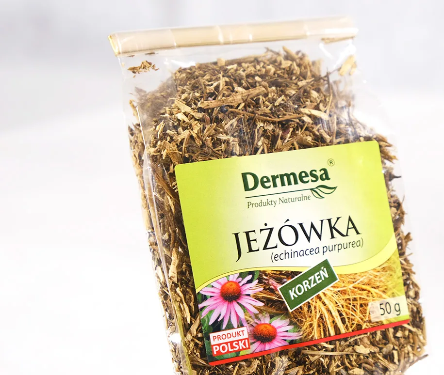Jeżówka na przeziębienie, echinacea korzeń