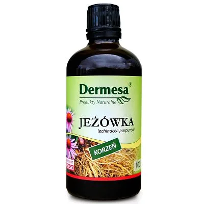 Jeżówka (echinacea) 100ml