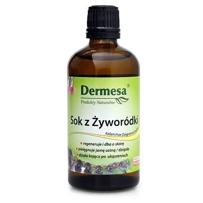 Żyworódka 100ml- Sok z Kalanchoe