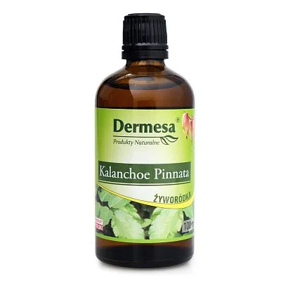 Sok z Żyworódki Kalanchoe Pinnata 100ml