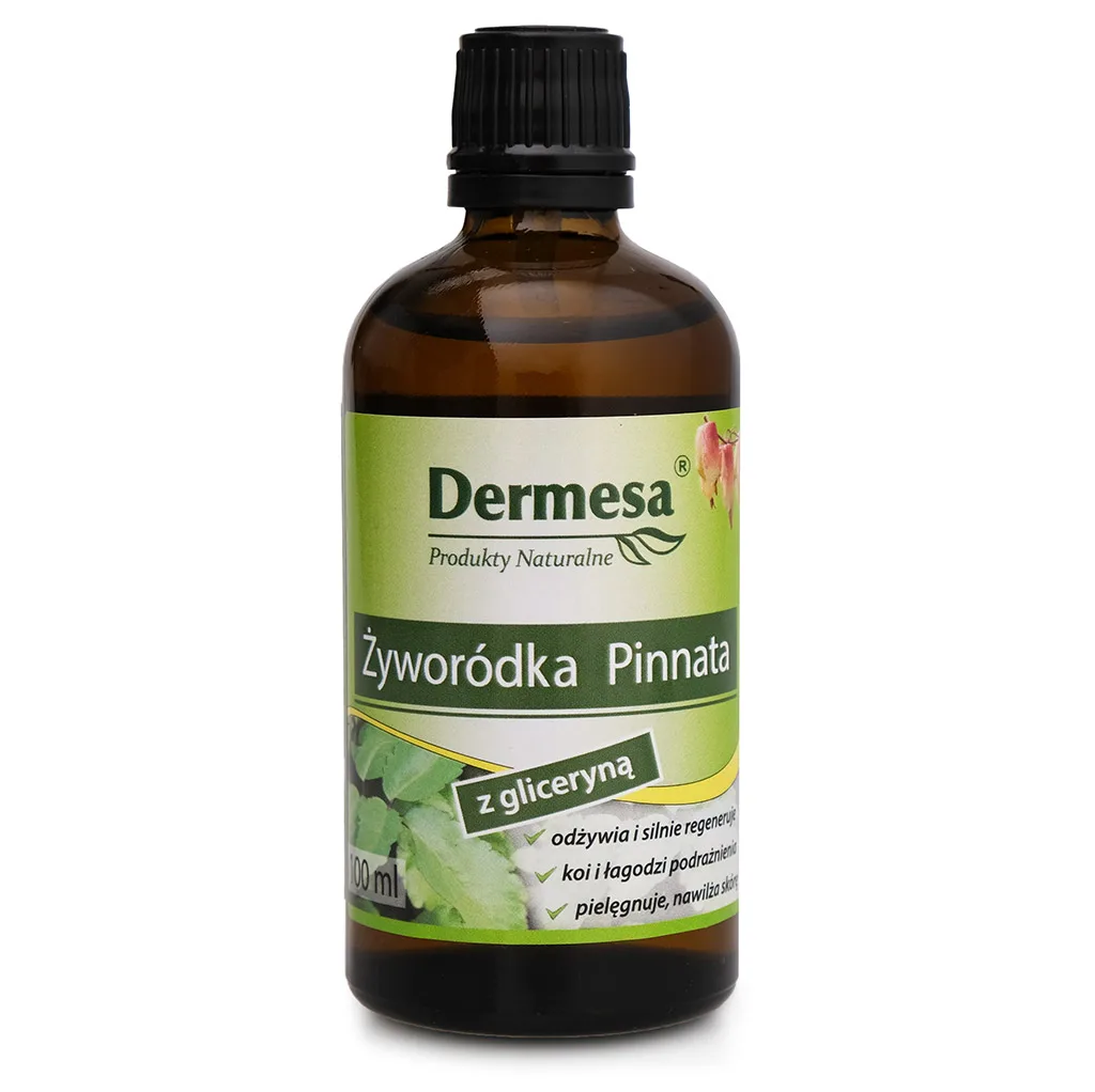 Żyworódka Kalanchoe Pinnata z gliceryną